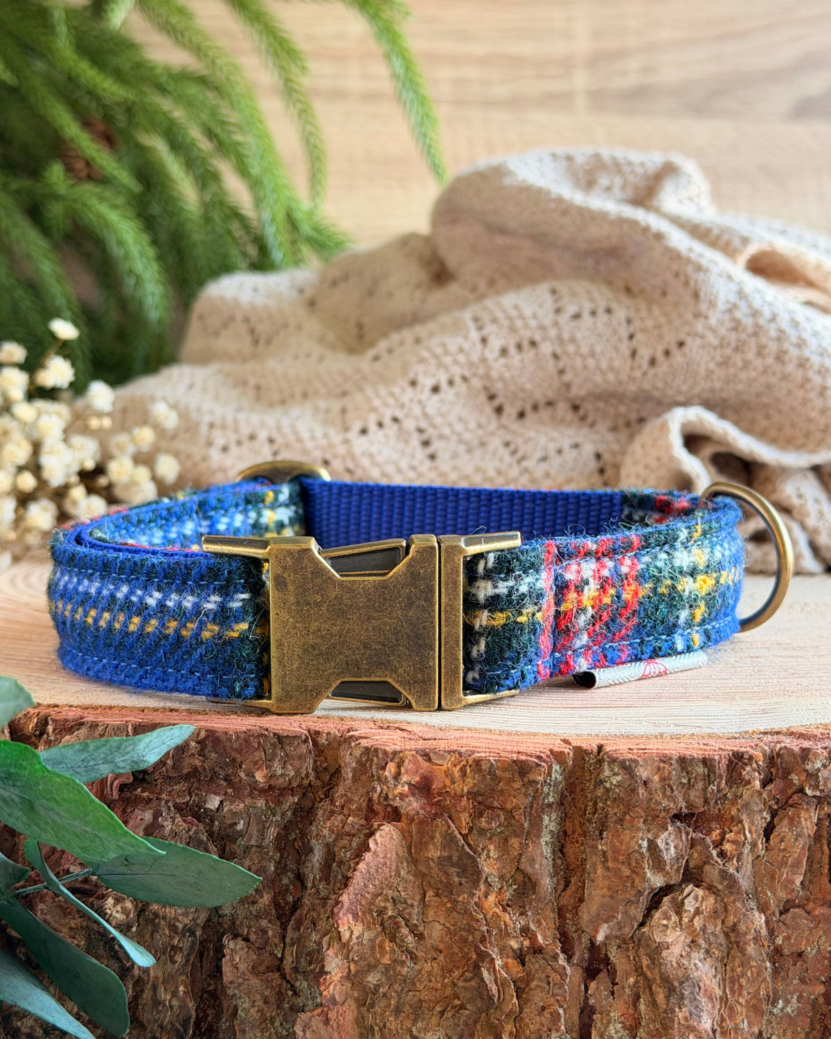 Harris Tweed® Royal Blue Tartan Check Tweed Dog Collar Bow & Lead Set Dash Of Hounds