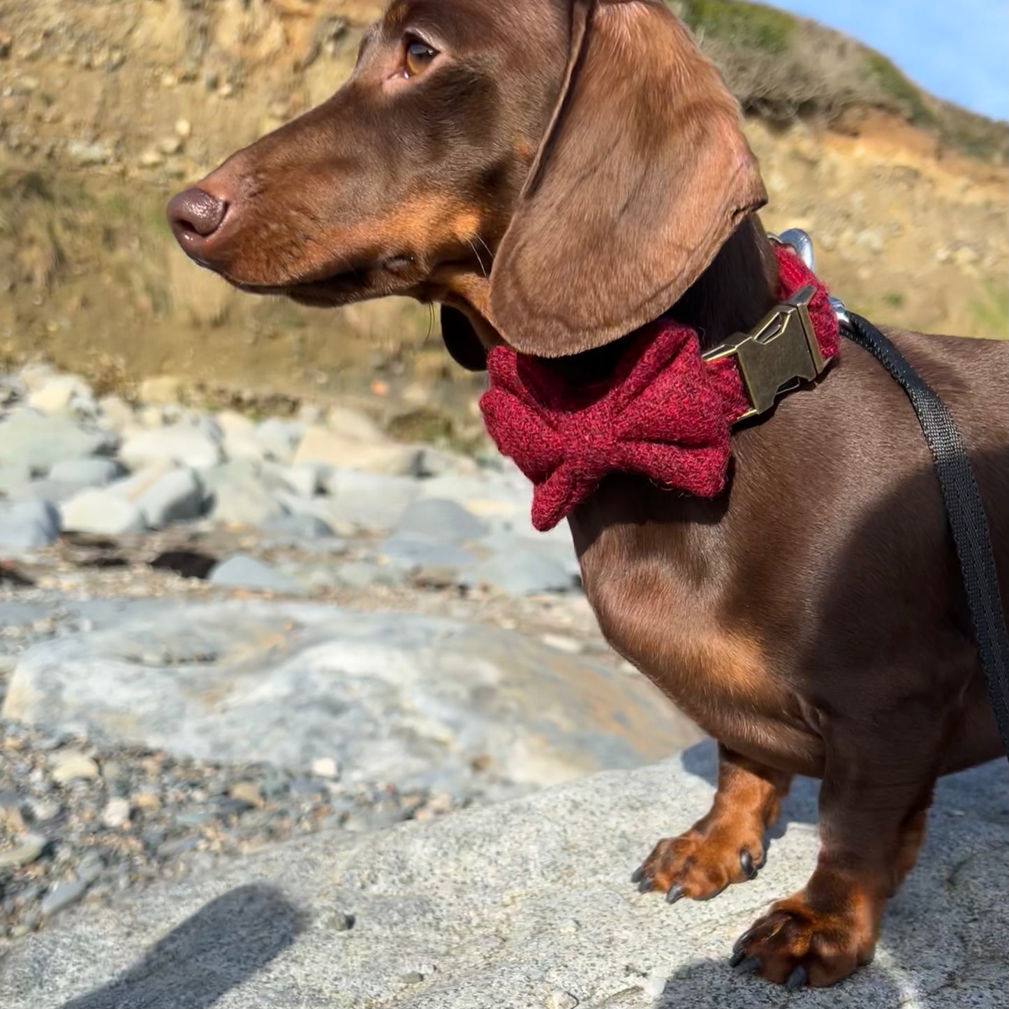 Harris Tweed® Dark Red Tweed Dog Collar Bow & Lead Set Hunter & Co.